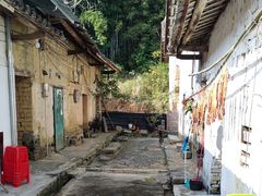 -威邵鸡煲(西华路总店)