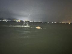 -碧桂园十里银滩