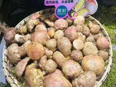 -菌彩云南野生菌火锅(新亚洲店)