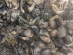 -宾朋海鲜特色美食餐厅·纯手工鲅鱼水饺(兴海路店)