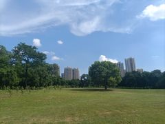 -雀儿山公园