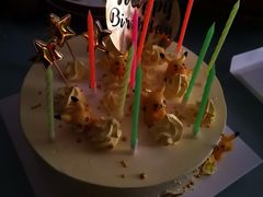 -维尔纳斯·生日蛋糕·动物奶油冰淇淋蛋糕(六里桥店)
