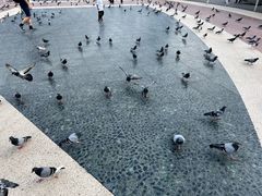 -加泰罗尼亚广场