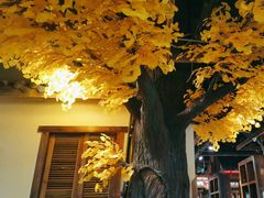 -黄泥岗·黄陂农家菜(百步亭店)