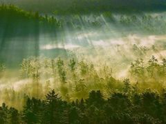 -塞罕坝国家级自然保护区