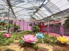 -广东花都香草世界旅游度假区