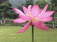 -山水间小院