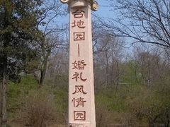 android_upload_pic-沈阳植物园