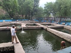 iphone_upload_pic-双新垂钓园