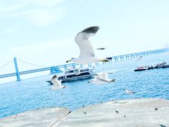 -星海广场