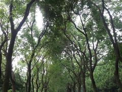 android_upload_pic-宋庆龄陵园