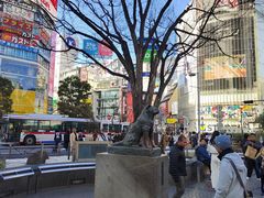 -涩谷全向十字路口
