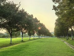 -南京邮电大学(仙林校区)