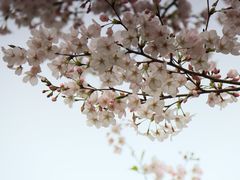 -龙美术馆(西岸馆)