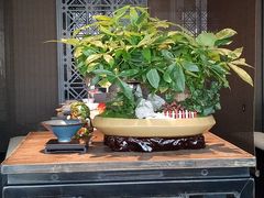 -馋遇江南·精致湖景雅宴(东方之门店)