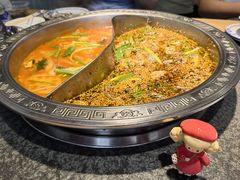 -胖子鱼·油泼甘谷辣子炝活鱼(秦州407店)