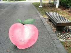 -白塘生态植物园