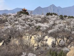 -白水寺森林公园