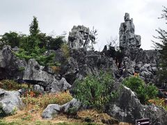 -千岛湖石林