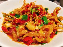 -壹盏灯(惠农店)