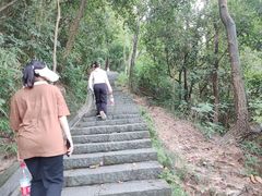 -火炉山森林公园