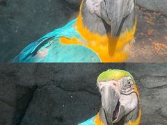 -福州罗源湾海洋世界旅游区