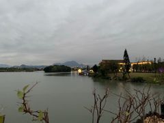 -三垟湿地