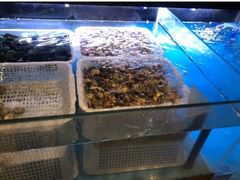 水产区-长沙北辰洲际酒店-兰调全日餐厅