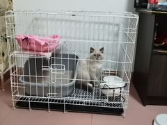 -屋虎猫馆(宝安大仟里店)