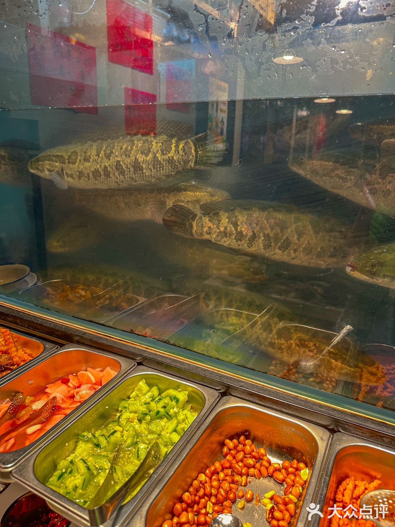 这次带他去吃了王火火自助乌鱼 真的可以一次吃到爽