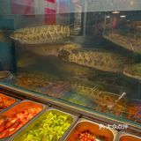 这次带他去吃了王火火自助乌鱼 真的可以一次吃到爽