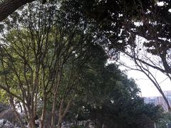 -昆山城市生态森林公园