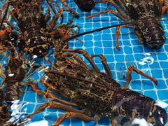 -三旗百汇商品城