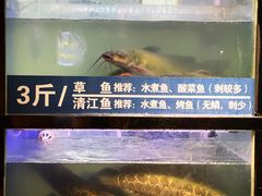 -爱妻鱼•老体北重庆水煮鱼•川菜(白云路店)