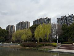-南翔镇银翔湖公园