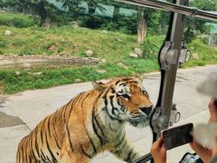 -西安秦岭野生动物园