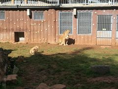 -昆明动物园