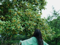 -南山植物园