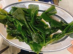 海带-源港渔村-中山脆肉鲩(博罗店)