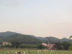 -红山村