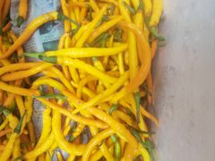 -岳各庄批发市场(西四环中路店)