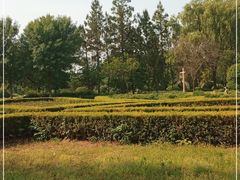 -洛阳市隋唐城遗址植物园