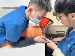 -乐派堂宠物医院·猫友好· 心脏科(东街店)