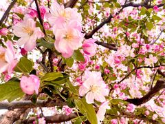 -元大都城垣遗址公园