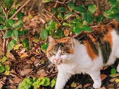 -苏州河梦清园环保主题公园