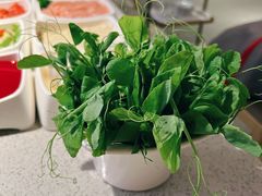 豌豆苗-海底捞大排档火锅(悦荟广场店)