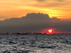 -宝安西湾红树林湿地公园