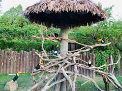 -上海野生动物园