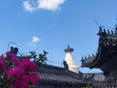 -北京鲁迅博物馆(北京新文化运动纪念馆鲁博馆区)