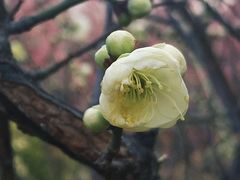 -山东大学(趵突泉校区)